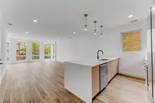 437 E 42nd Pl, Chicago, IL 60653 - Photo 5