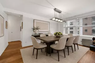 850 N Dewitt Pl, Chicago, IL 60611 - Photo 9