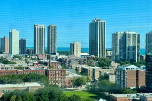 230 W Division St, Chicago, IL 60610 - Photo 9
