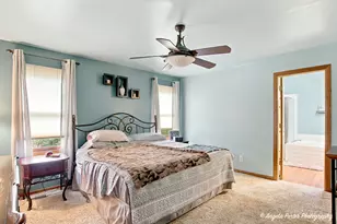 4729 Crystal Trail, McHenry, IL 60050 - Photo 19