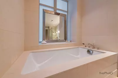 118 E Erie Street #18D, Chicago, IL 60611 - Photo 45