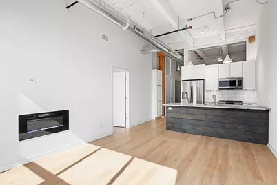 209 N Morgan Street #302, Chicago, IL 60607 - Photo 3