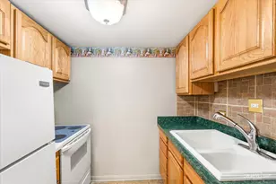 255 S West Ave, Elmhurst, IL 60126 - Photo 5
