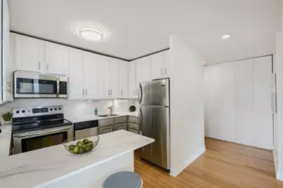 1455 N Sandburg Terrace #2009, Chicago, IL 60610 - Photo 11