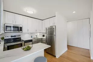 1455 N Sandburg Terrace, Chicago, IL 60610 - Photo 11