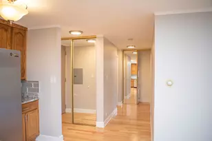16 E Old Willow Rd, Prospect Heights, IL 60070 - Photo 53