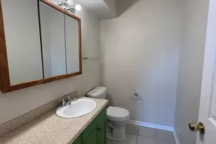 355 Bluff Ave, La Grange, IL 60525 - Photo 25