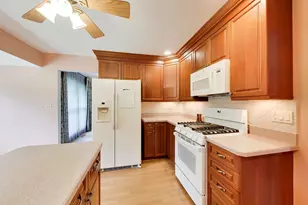 803 E Valley Ln, Arlington Heights, IL 60004 - Photo 11