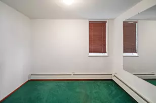 3517 S Lowe Ave, Chicago, IL 60609 - Photo 23