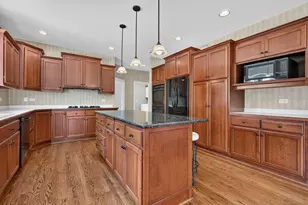 10897 Pioneer Trail, Frankfort, IL 60423 - Photo 13