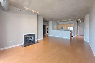1305 S Michigan Ave, Chicago, IL 60605 - Photo 1