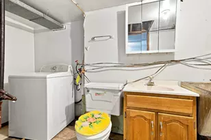 11733 S Elizabeth St, Chicago, IL 60643 - Photo 19
