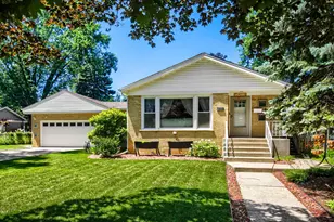 10636 Mason Ave, Chicago Ridge, IL 60415 - Photo 3