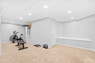 201 Willowwood Dr, Oswego, IL 60543 - Photo 23