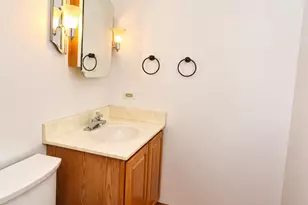 75 Miller Rd, Hawthorn Woods, IL 60047 - Photo 33