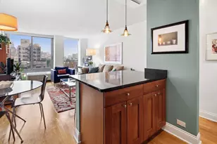 450 W Briar Pl, Chicago, IL 60657 - Photo 9