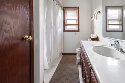 21158 Sophia Drive, Matteson, IL 60443 - Photo 13