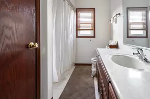 21158 Sophia Dr, Matteson, IL 60443 - Photo 13