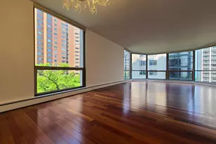 1310 N Ritchie Ct, Chicago, IL 60610 - Photo 5