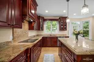 706 Wehrli Dr, Naperville, IL 60540 - Photo 19