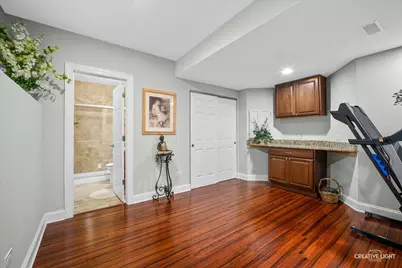 706 Wehrli Drive, Naperville, IL 60540 - Photo 39