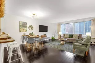 211 E Ohio St, Chicago, IL 60611 - Photo 5