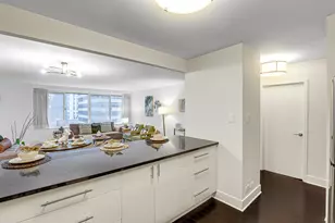 211 E Ohio St, Chicago, IL 60611 - Photo 9