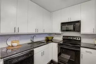 211 E Ohio St, Chicago, IL 60611 - Photo 11