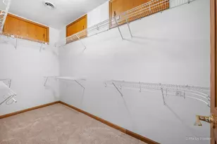 368 Holiday Dr, Lake Holiday, IL 60552 - Photo 41