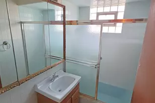 7960 S Kenneth Ave, Chicago, IL 60652 - Photo 19
