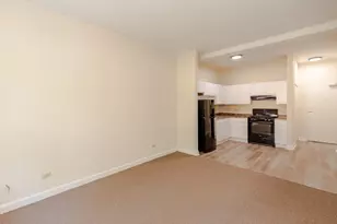 4752 S Wabash Ave, Chicago, IL 60615 - Photo 3