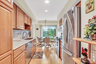 250 W Parliament Place #219, Mount Prospect, IL 60056 - Photo 11