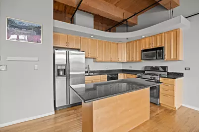2310 S Canal Street #215, Chicago, IL 60616 - Photo 9