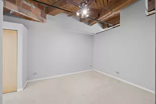2310 S Canal St, Chicago, IL 60616 - Photo 13