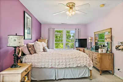 910 Division Street, Barrington, IL 60010 - Photo 45