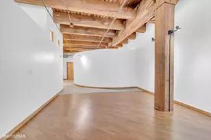 732 S Financial St, Chicago, IL 60605 - Photo 21