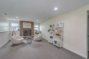 23016 Valley Dr, Richton Park, IL 60471 - Photo 17