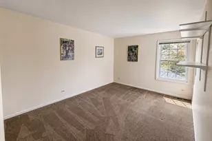 882 Nelli Ct, Naperville, IL 60563 - Photo 21