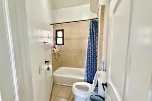 2012 W 21st Pl, Chicago, IL 60608 - Photo 29