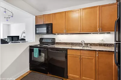 474 N Lake Shore Drive #5104, Chicago, IL 60611 - Photo 5