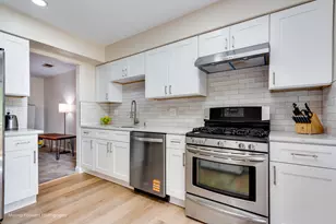 16 W Fern Ct, Palatine, IL 60067 - Photo 17