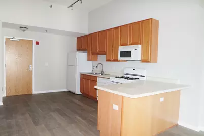 1250 S Indiana Avenue #1110, Chicago, IL 60605 - Photo 7