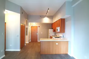 1250 S Indiana Ave, Chicago, IL 60605 - Photo 5