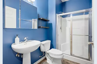 60 E Hattendorf Avenue, Roselle, IL 60172 - Photo 31