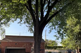 2706 S Hillock Ave, Chicago, IL 60608 - Photo 31