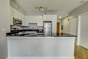 435 W Erie St, Chicago, IL 60654 - Photo 3