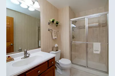 1527 Tienstra Court, Homewood, IL 60430 - Photo 11