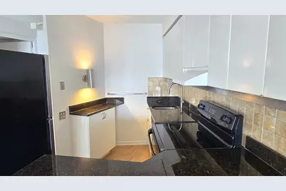 300 N State Street #5009, Chicago, IL 60654 - Photo 7
