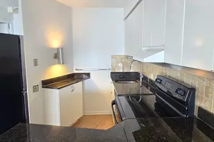 300 N State St, Chicago, IL 60654 - Photo 7