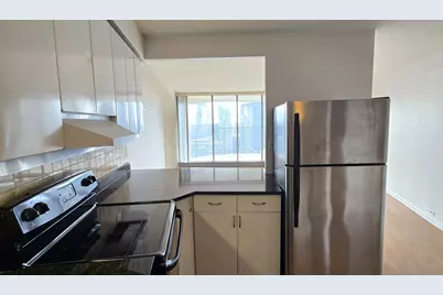 300 N State Street #5009, Chicago, IL 60654 - Photo 9